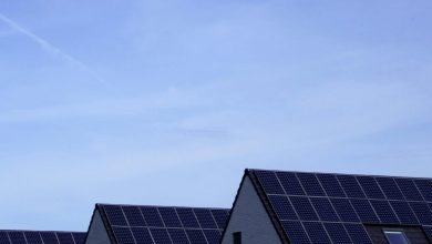 Solar generation grew by 30% in 2024, says IEA – pv magazine USA