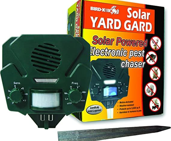 5 Proven Ways to Pigeon Proof Solar Panels (That Works in 2025) 5 Proven Ways to Pigeon Proof Solar Panels (That Works in 2025)