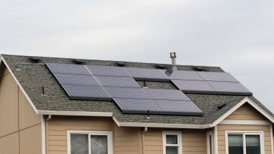 4 Things to Expect When Switching to Solar Power