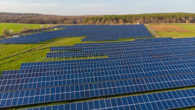 What Are Solar Farms and How Are They Beneficial?