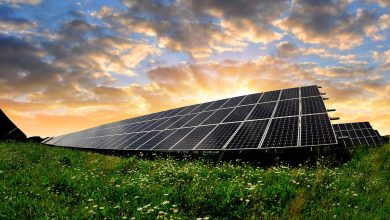 How to Determine if Your Home Can Support Solar Energy Panels