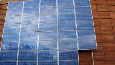 4 Important Services Solar Companies Offer Your Business