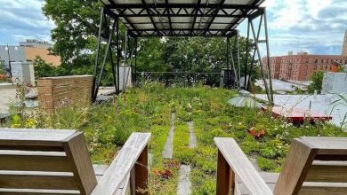 Are Solar Panels Mandatory in NYC?