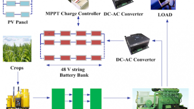 Hybrid Solar PV – Biomass Power Plant