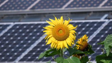Solar Incentives In The New Climate Bill For California Homeowners