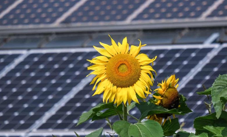 Solar Incentives In The New Climate Bill For California Homeowners Solar Incentives In The New Climate Bill For California Homeowners